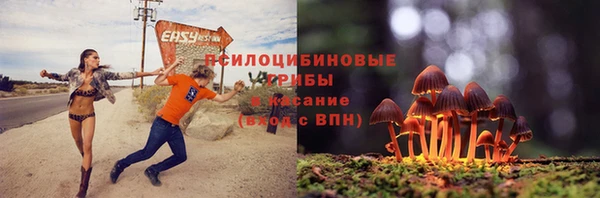 крисы Куйбышев