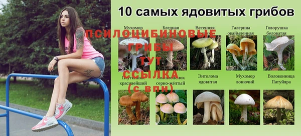 Альфа ПВП Кулебаки