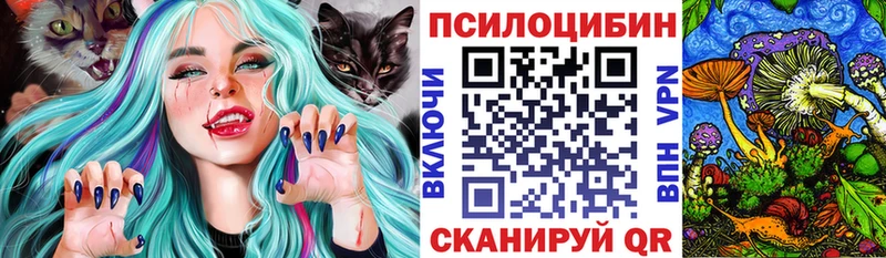 Псилоцибиновые грибы мицелий  Купить закладки  Геленджик 